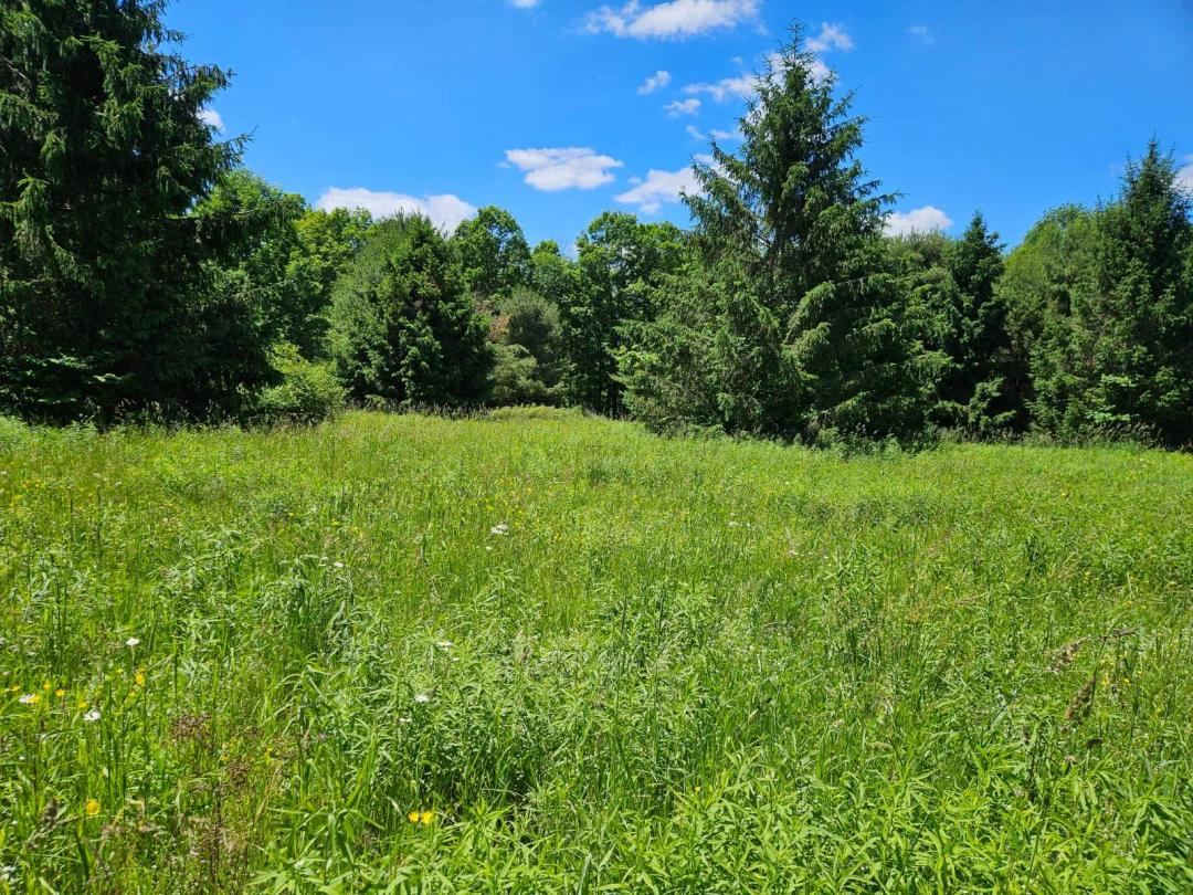 5.00 Acres at 0 Pierce Hill Rd.