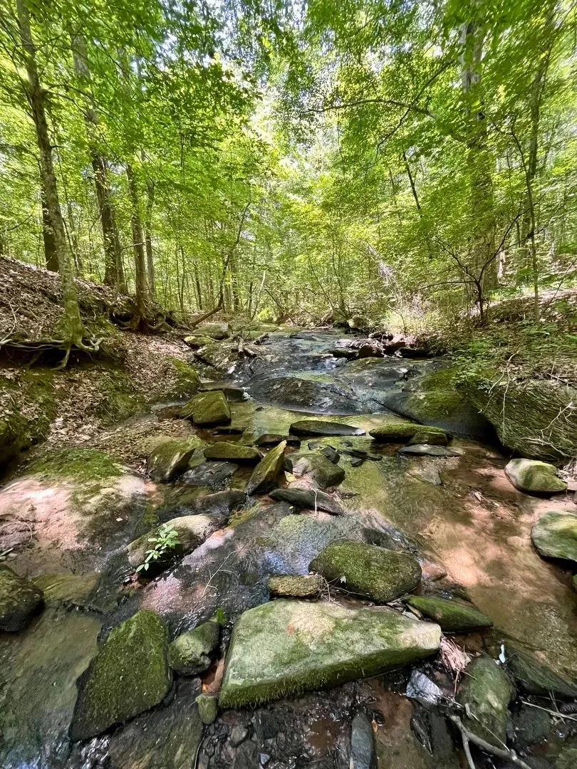 70 +/- Acres in Roanoke, AL