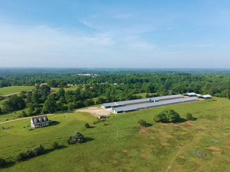 Faith Filled Breeder Farm – Two House Breeder Farm in Oconee County, SC