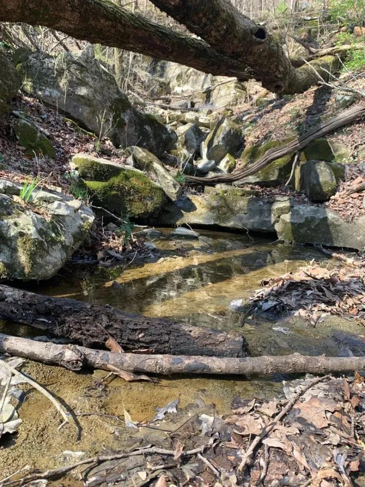 37+/- acres Walker County, GA