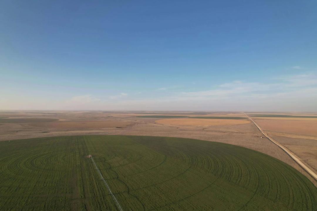 318 +/- Acre Irrigated Farm in Sherman County