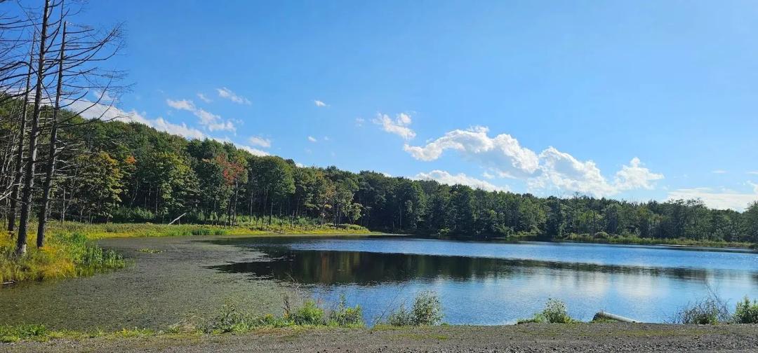 10 acre Building Site with Pond in Richford NY Creamery Rd