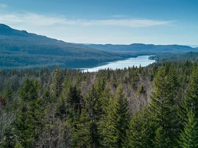 Swan Lake Overlook