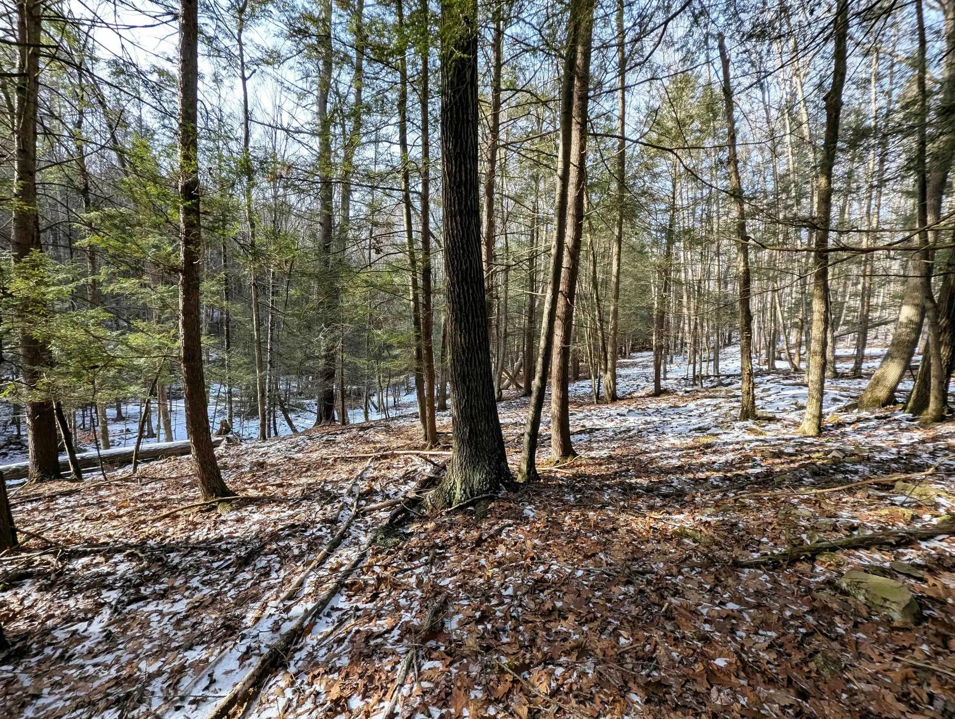 26129114-21