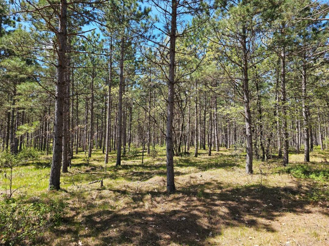 2.3 Acre Campers Retreat