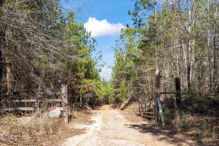 639+/- ACRES LOWNDES COUNTY