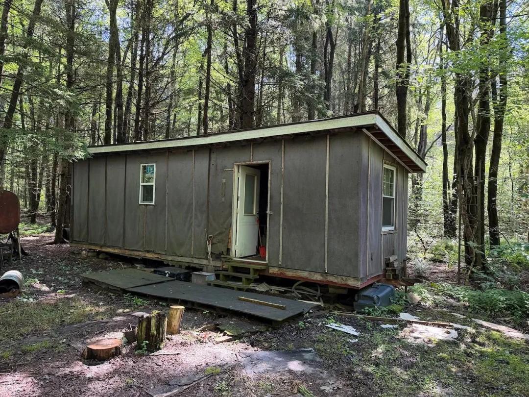 Cabin bordering Bush Hill State Forest on 4.95 acres in Franklinville NY Peet Hill Rd
