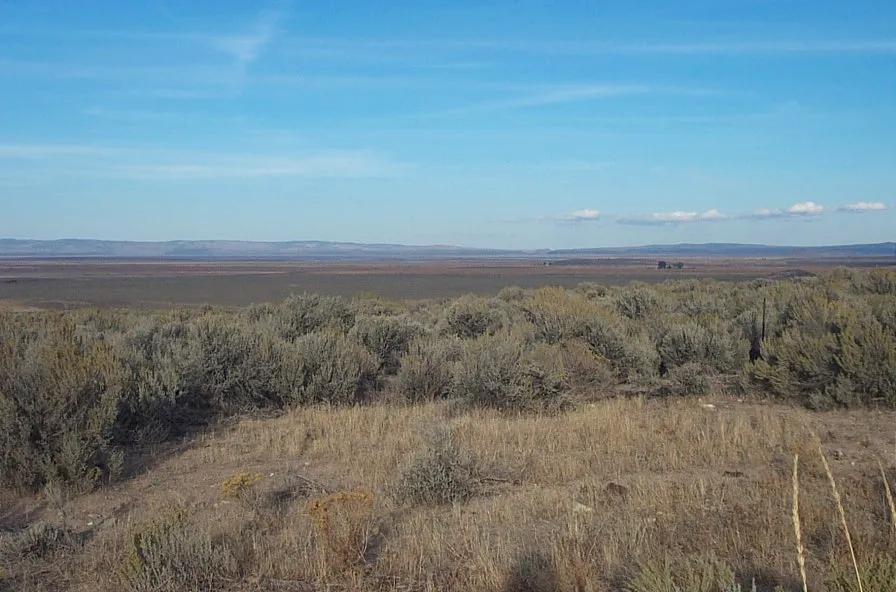 40 acres in  Presidio County  * Classic West Texas Desert