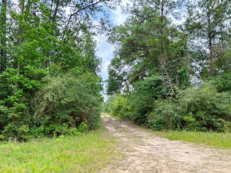 14.5 Acres | FM 2937 | A-6 | Silsbee Stake