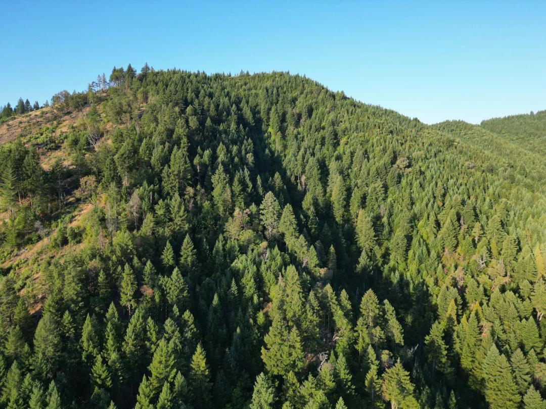 471 AC-E Evans Creek Rd