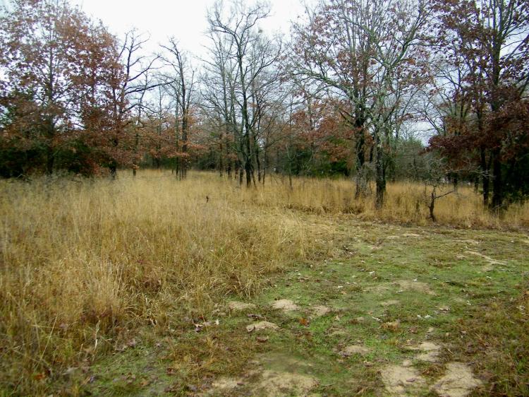 35 Acres for Home and Hunting