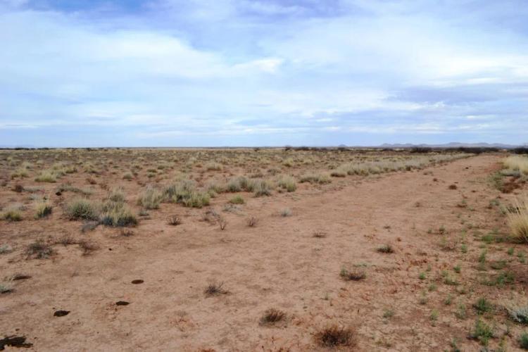 Remote, desolate - New Mexico Desert
