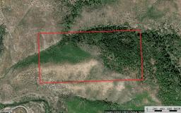26362881-19