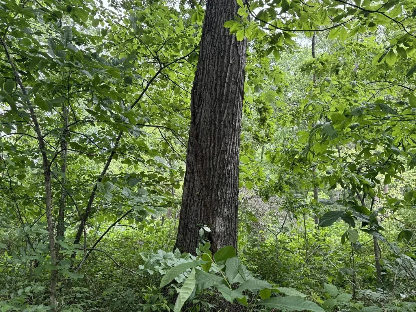 26381845-9