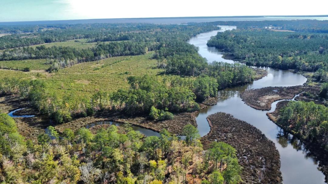 Prime Timberland Opportunity in Coastal NC
