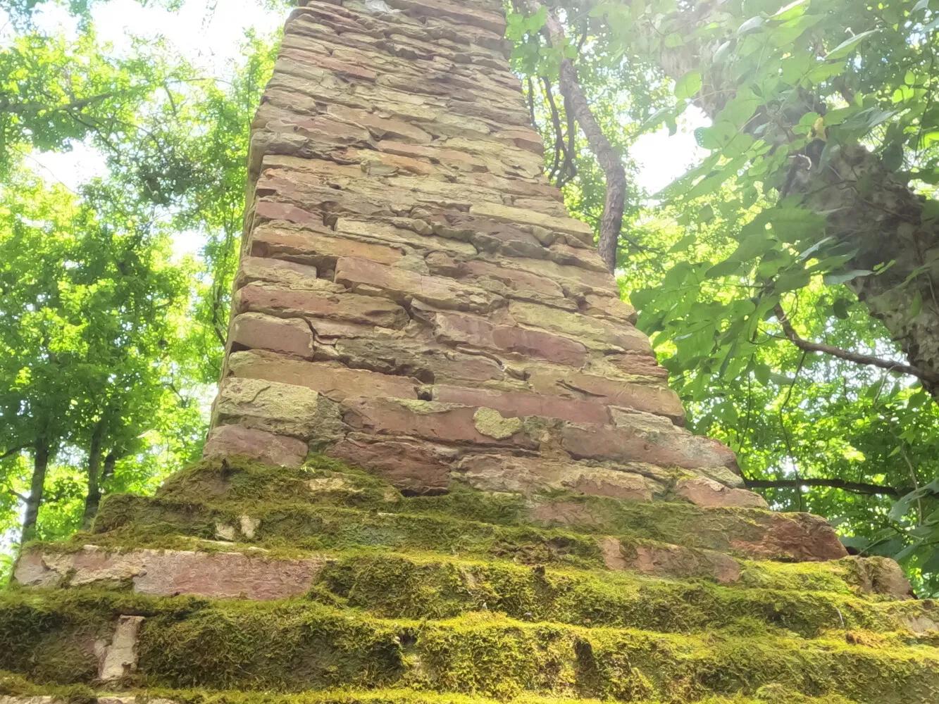 26398812-7
