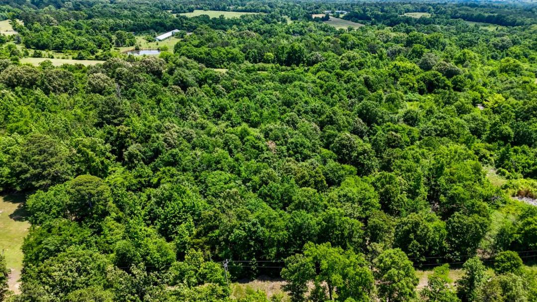 2 Acres Near Broken Bow Lake Ready for Your Vision!