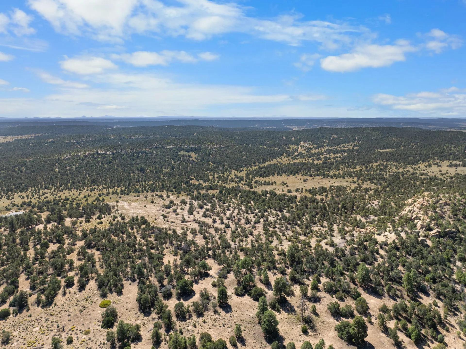 26451793-6