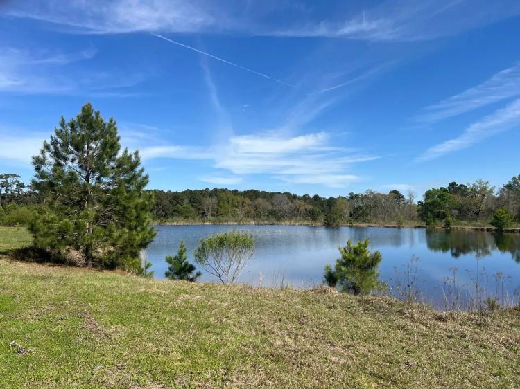 28 ± Acre Patterson Road Tract