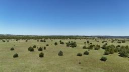 DJI_20250630105522_0005_D