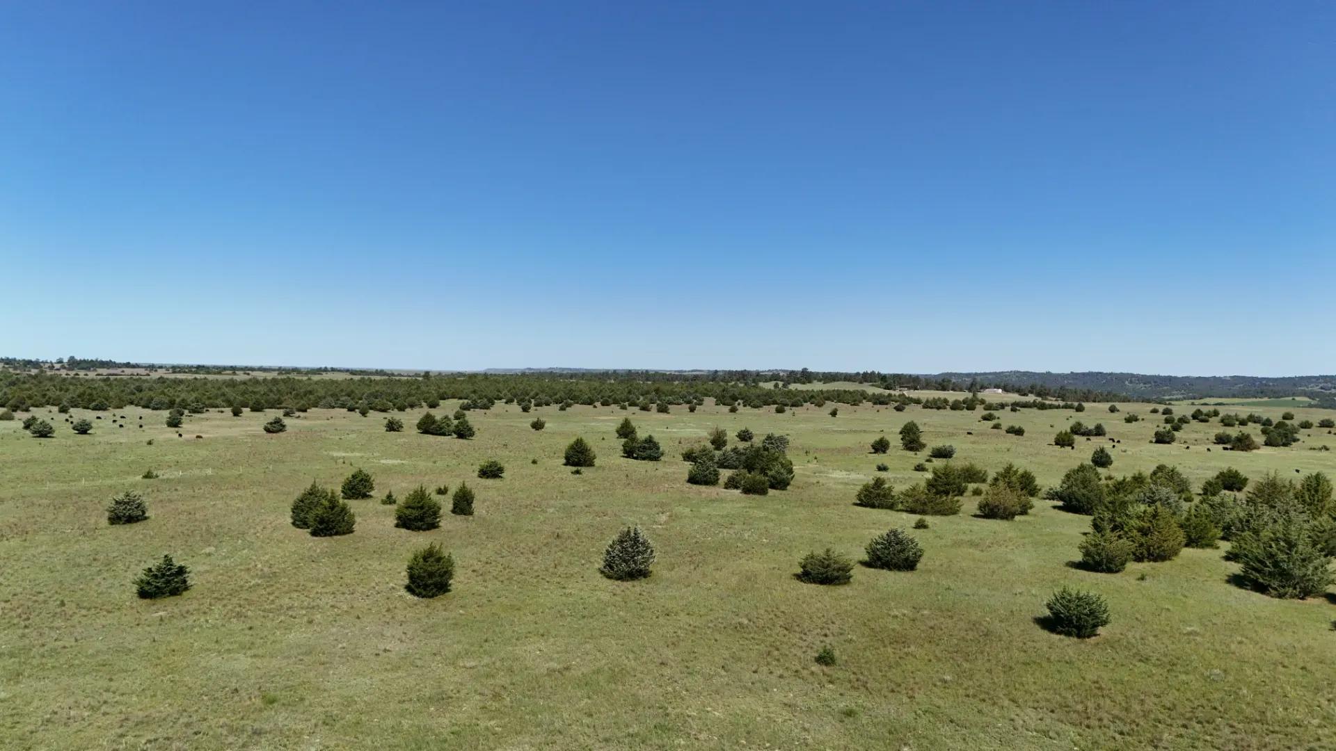DJI_20250630105522_0005_D