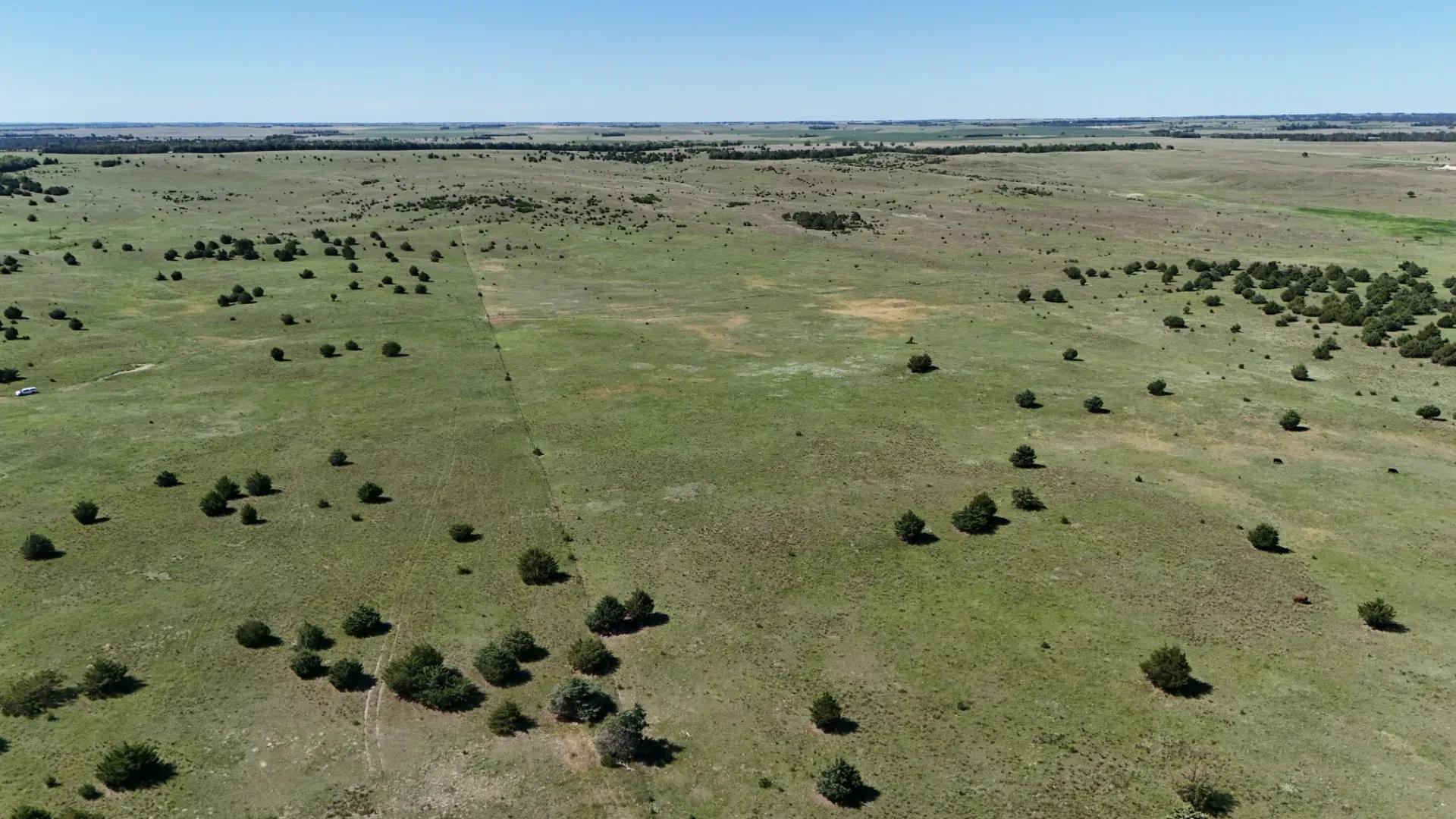DJI_20250630110330_0049_D