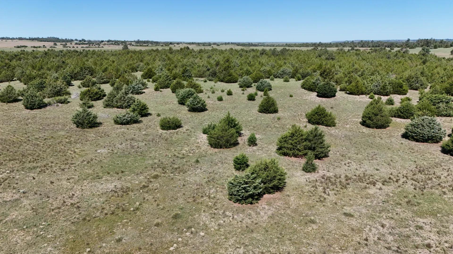 DJI_20250630110407_0051_D
