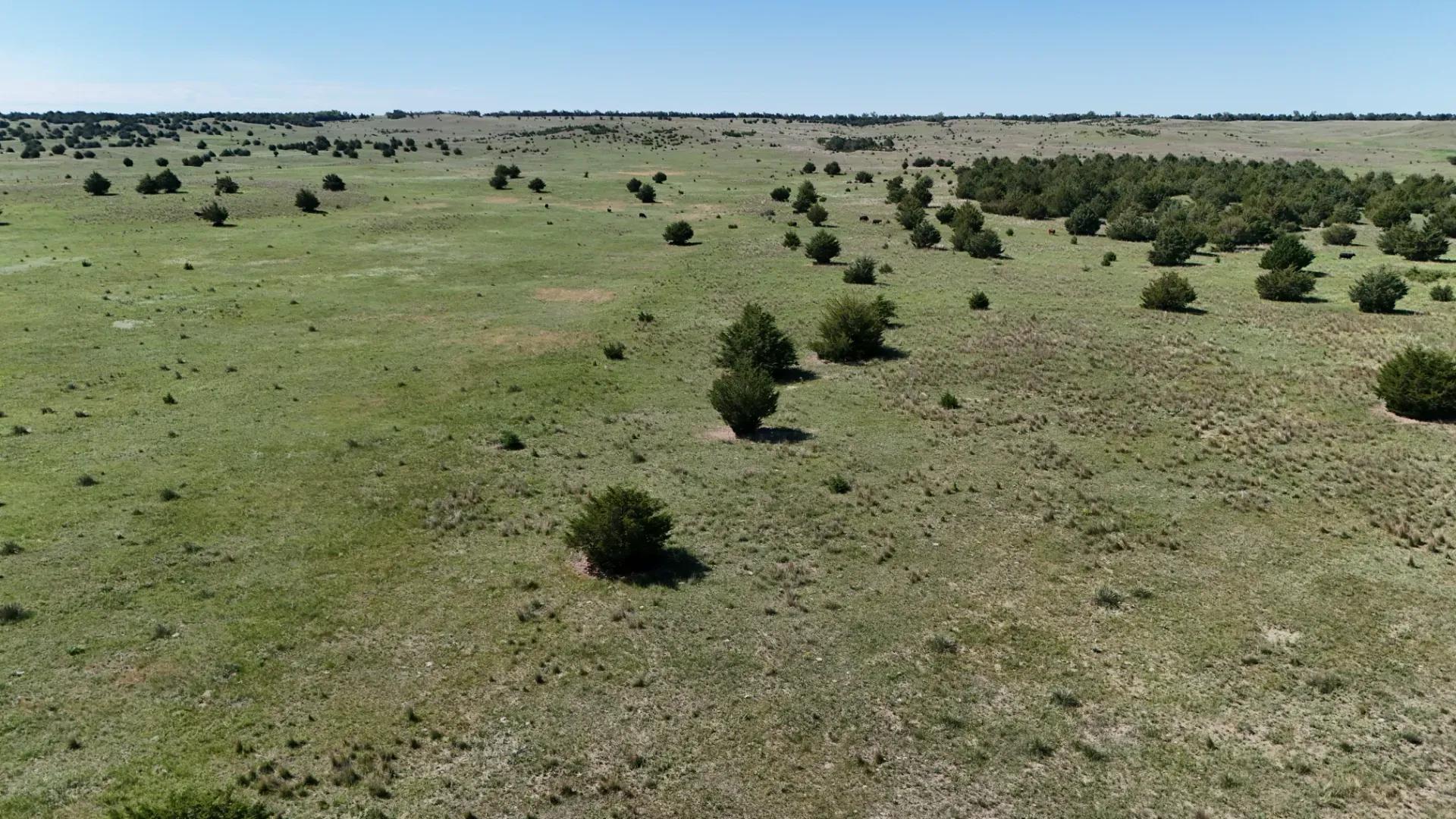 DJI_20250630110412_0053_D