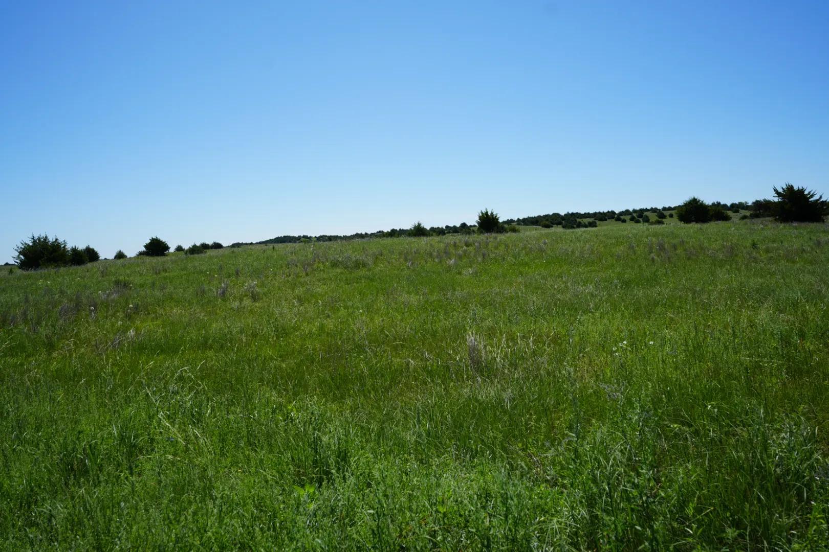 DSC09881