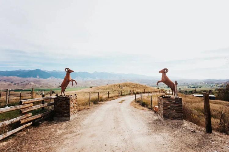 The Savage Ranch