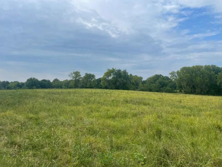14+/- acres Lowndes Co, AL for sale!