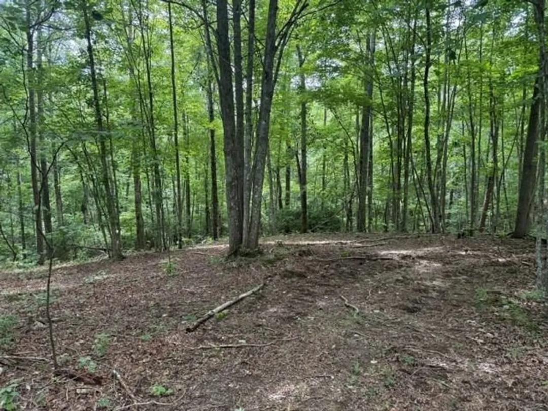  5.14+/-acres on South Pittsburg Mtn, an outdoor paradise