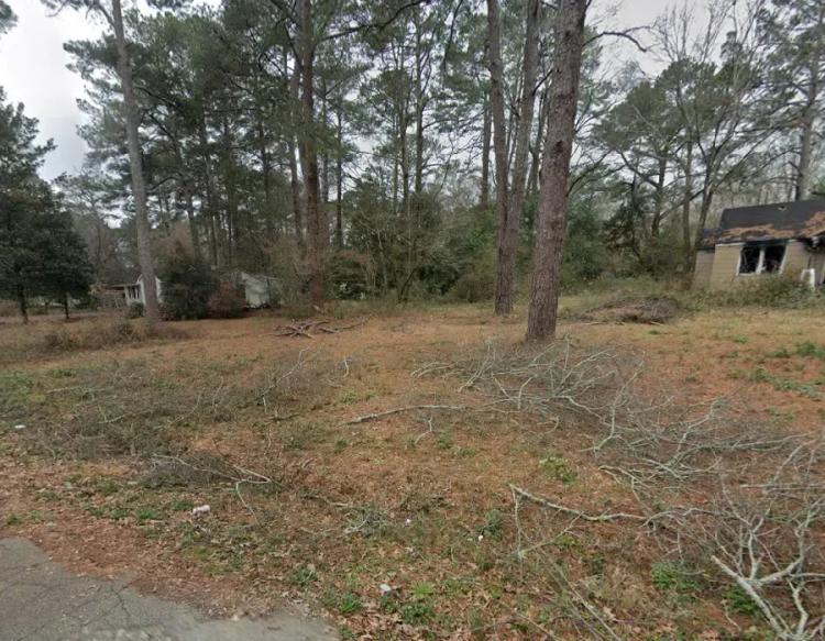 Mississippi, Hinds County, 0.27 Acres Alta Woods Park, Lot 29.