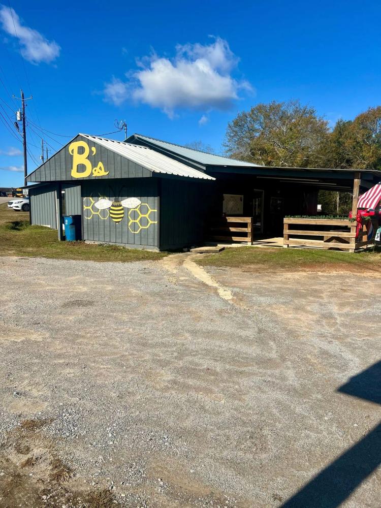 10-050 B's Hive