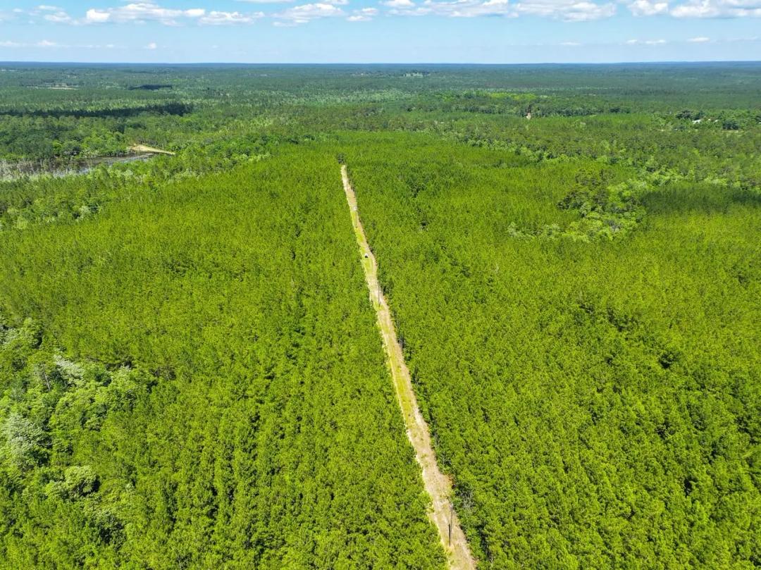 Hurricane branch- 153 Acres Washington County AL
