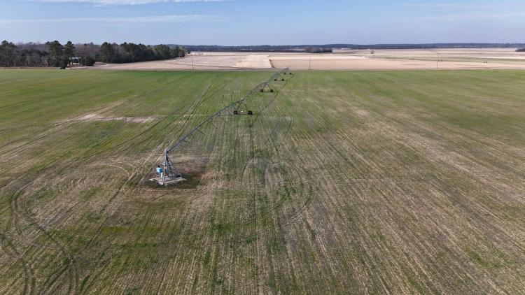 Income Producing Irrigated Farmland