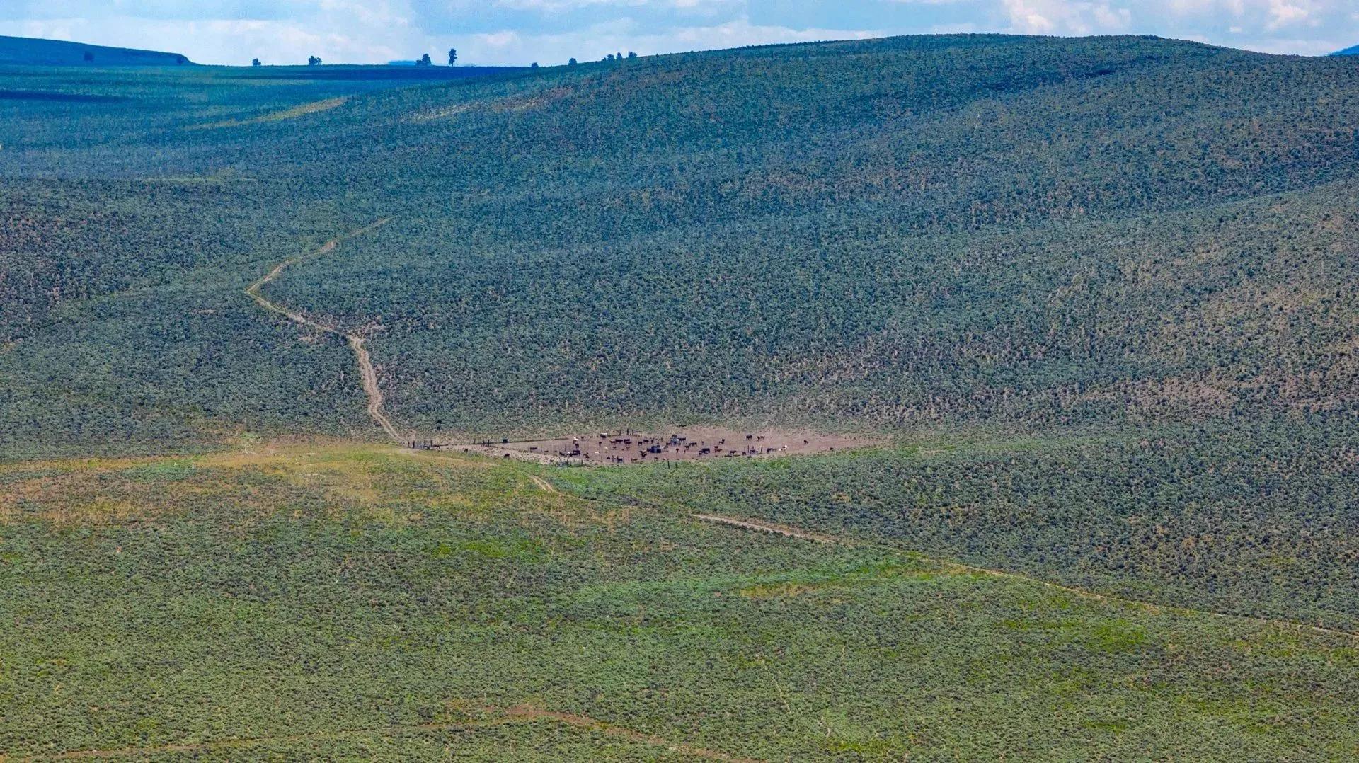 26657807-24
