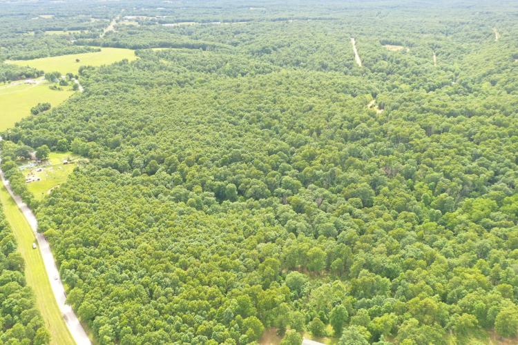 55 Acres Close to Nianqua River Dallas County Mo