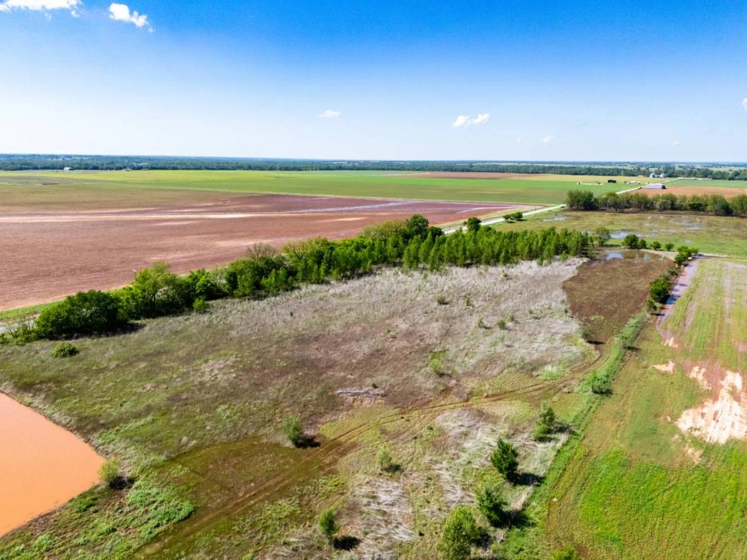Washita Riverbottom Ground