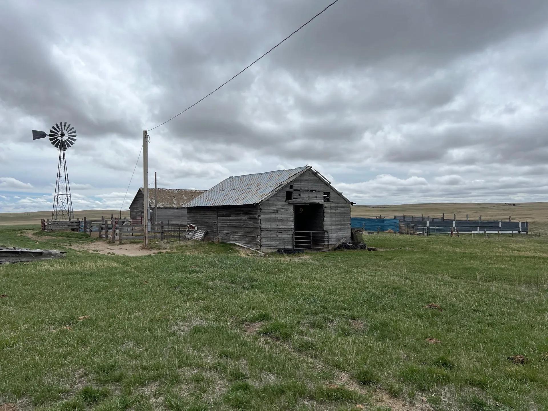 26690262-36