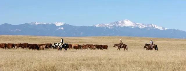 Heartbar Ranch