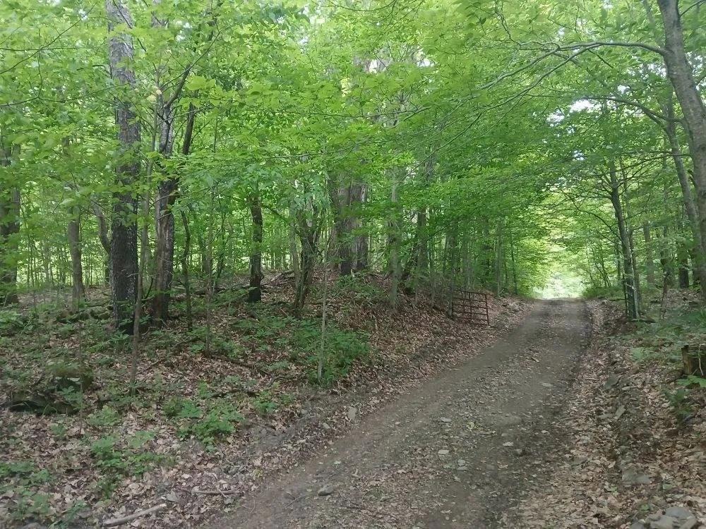 6.25 Acres at 0 Darling Road