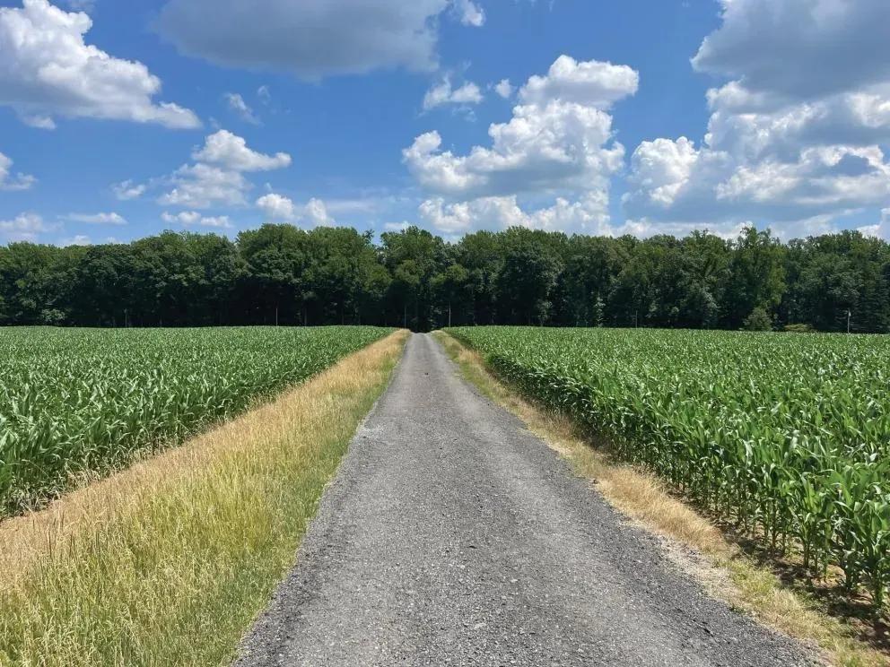 wert_farm_farm_road__detail