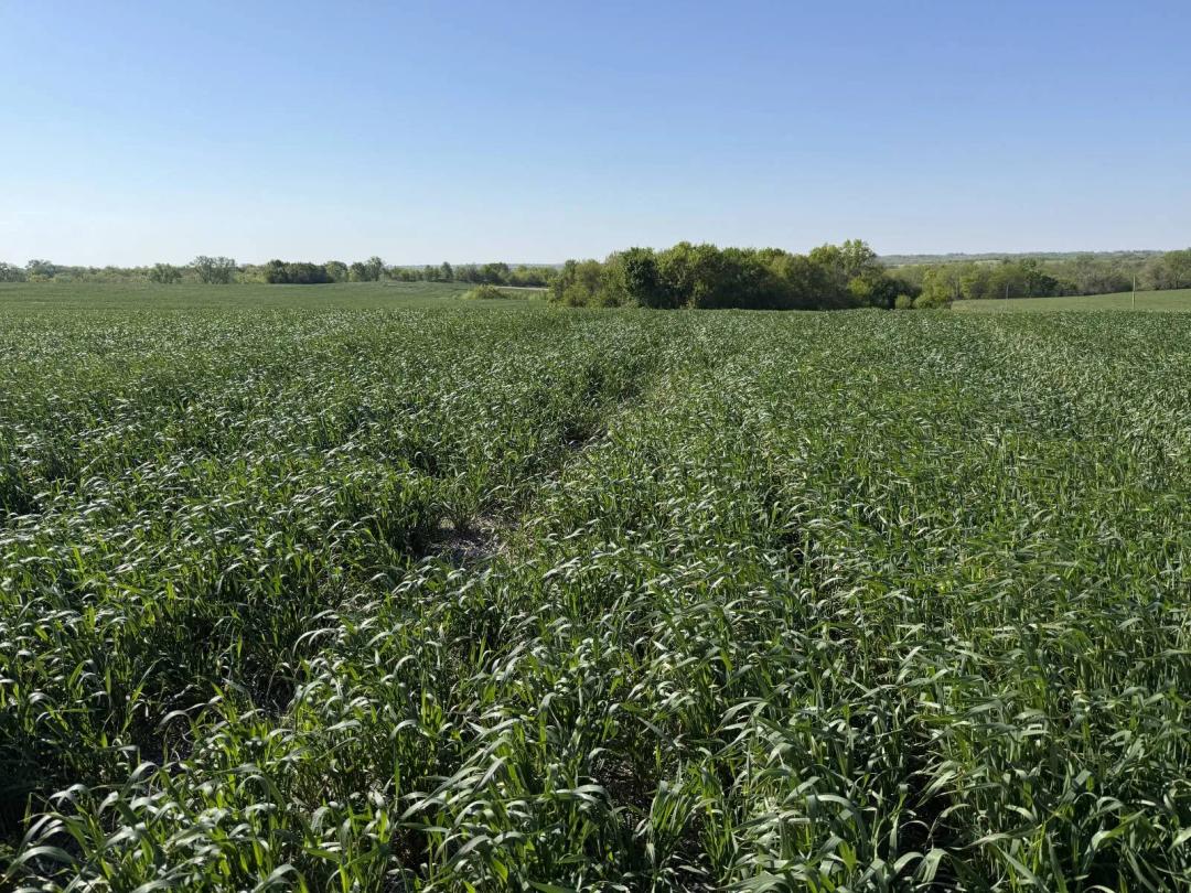 40 ACRES