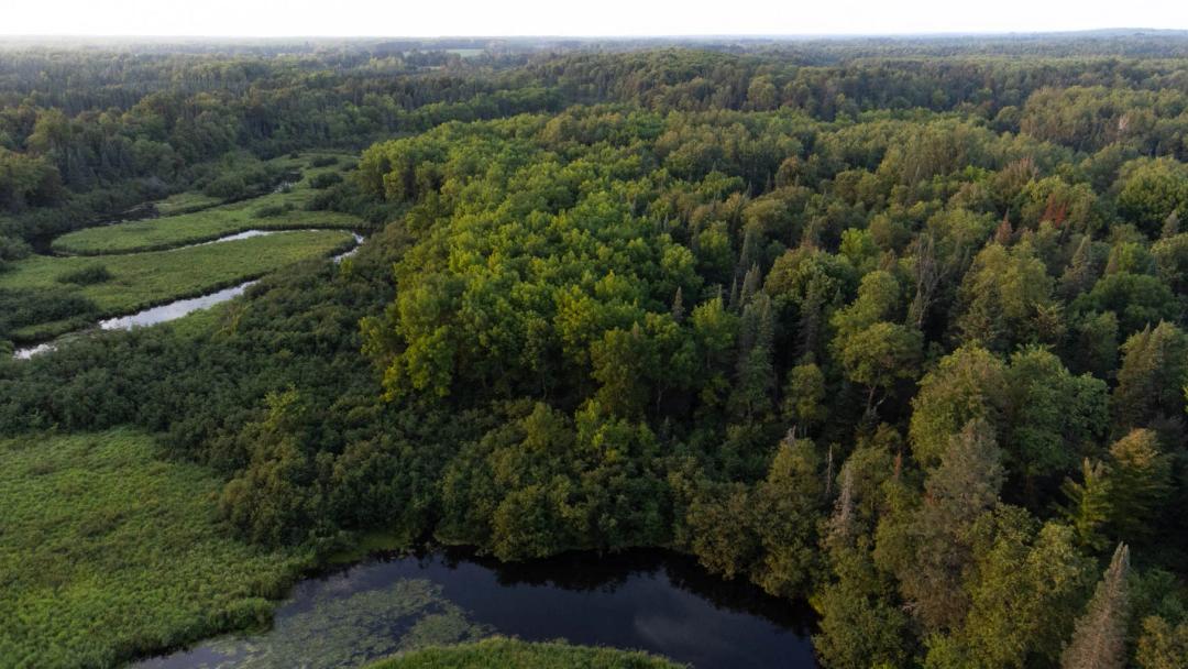 Price County, Wisconsin 274 Acres For Sale