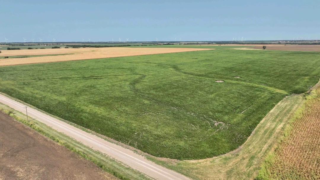 81± Acres Cropland, Class II Soils & More - Tract 4 of 5