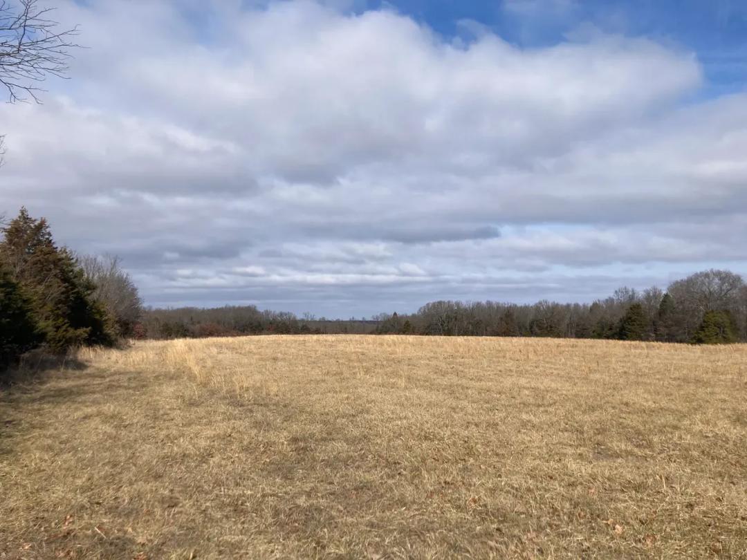 Beautiful 200 acres +/- Miller County property with lots of road frontage with all year stream