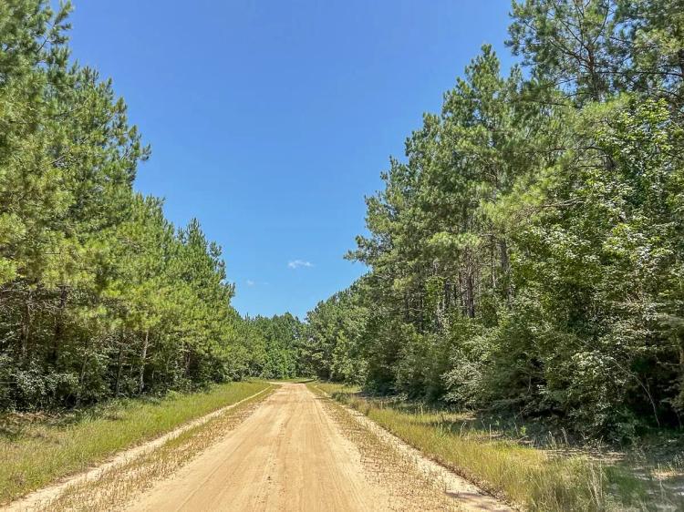 21 Acres | T-17 | Saron