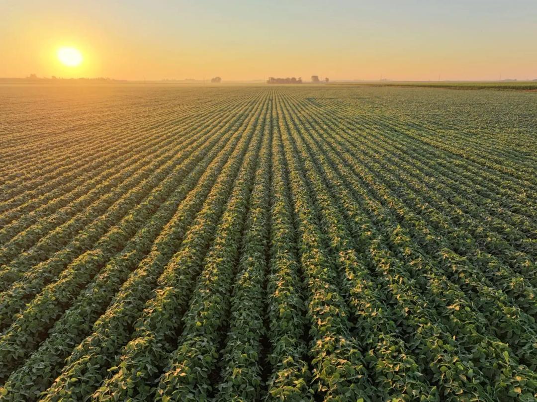 Listing #19595 - 30.28 acres in Butler County, IA
