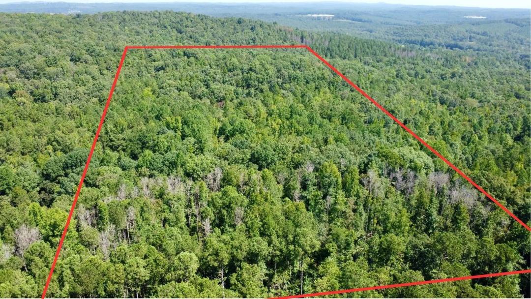 17 +/- Acres in Randolph County, AL